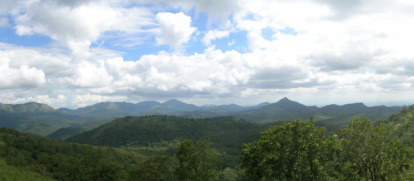 Banner Hills